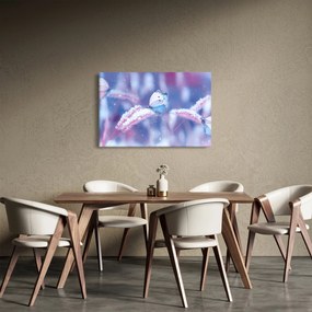 Tablou - Fluturi iarna (90x60 cm)
