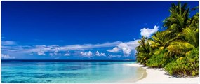 Tablou - Plaja tropicală (120x50 cm)