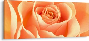 Tablou - Imaginea- Trandafiri, culoarea caisei (120x50 cm)