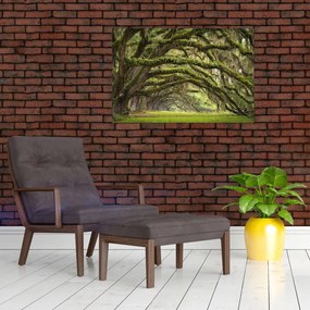 Tablou - Oaks Avenue, Charleston, Carolina de Sud, SUA (90x60 cm)