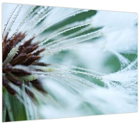 Tablou - Detaliu floare (70x50 cm)