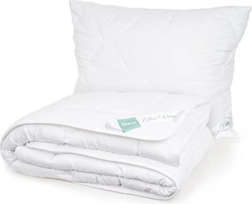 Set pilotă și pernă 4Home Aloe Premium, 140 x 200 cm, 70 x 90 cm