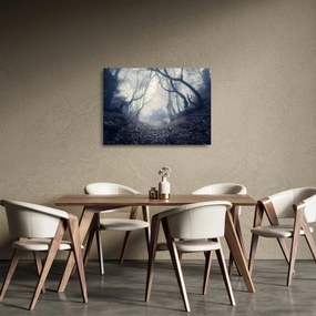 Tablou pe sticlă - Pădurea în ceață (70x50 cm)