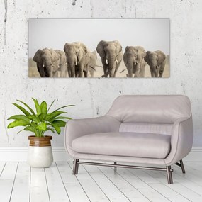 Tablou - Turmă de elefanți (120x50 cm)