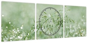 Tablou - Trandafir în iarbâ (cu ceas) (90x30 cm)