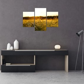 Tablou iarba cu rouă (90x60 cm)