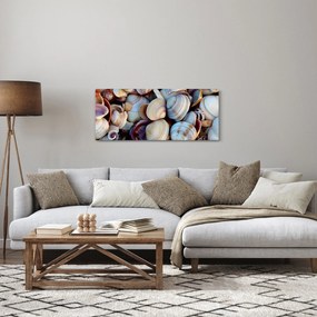 tablou cu scoici (120x50 cm)