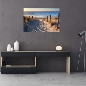 Tablou - Drum spre plaja din Marea Nordului, Țările de Jos (90x60 cm)