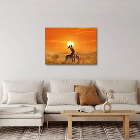 Tablou - Girafe în Parcul Național Serengeti (70x50 cm)