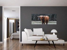 Tablou - Vacă scoțiană 2 (120x50 cm)