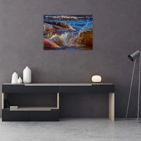 Tablou pe sticlă detailat - apa între pietre (70x50 cm)