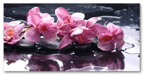 Tablou pe sticlă acrilică Orhidee roz