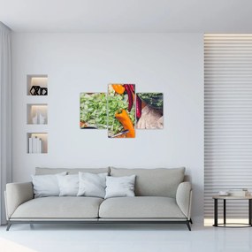 Tablou cu legume (90x60 cm)