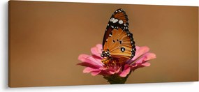 Tablou cu fluture pe floare (120x50 cm)