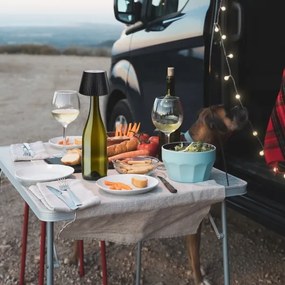 Abajur LED dimabil pentru sticlă Rabalux 77142 BURDUR LED/2W/5V IP44