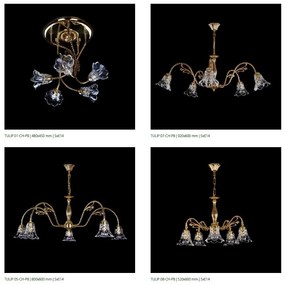 Aplica de perete deosebita design LUX TULIP 01-WL