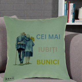 Cadou pentru Bunici - Perna Personalizata Cei Mai Iubiti Bunici Acuarela Spate, 40x40 cm, Verde, Husa Detasabila, Perna Inclusa, BEKZ®