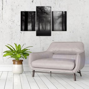 Tablou - Pădure în ceață (90x60 cm)