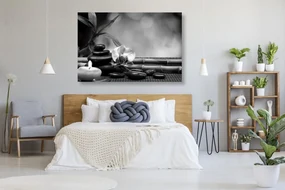 Tablou Feng Shui armonie în design alb-negru