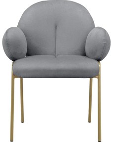 Set de scaune de sufragerie gri cu cotiere 2 buc. tapițat Iwama – Støraa