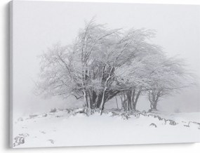 Tablou - Iarnă albă (70x50 cm)