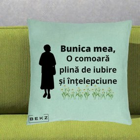 Cadou pentru Bunica - Perna Personalizata Bunica Mea Comoara Iubire Intelepciune Silueta cu Nepoata, 40x40 cm, Verde Menta, Husa Detasabila, Perna Inclusa, BEKZ®