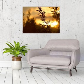 Tablou pe sticlă - Apus de soare (70x50 cm)