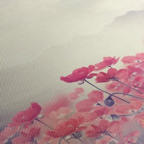 Tablou - Maci (70x50 cm)