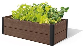 Pat ridicat de plante Maple – Keter