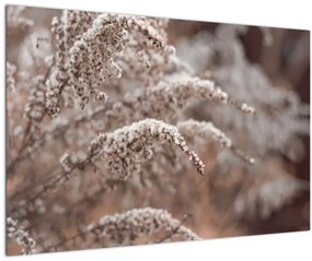 Tablou cu plante (90x60 cm)