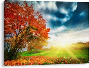 Tablou peisaj cu scufundat în razele solare (70x50 cm)