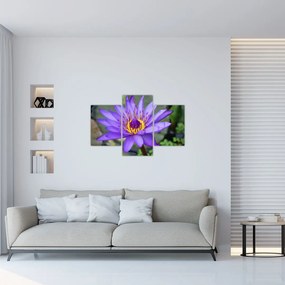 Tablou - Floare violet (90x60 cm)