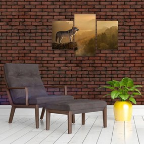 Tablou - Lup pe stăncă (90x60 cm)