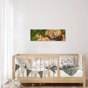 Tablou cu lei (cu ceas) (90x30 cm)