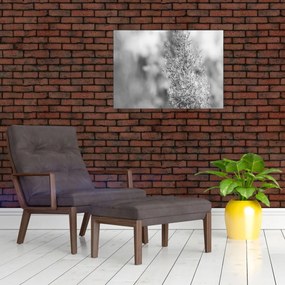 Tablou pe sticlă - Iarbă de pampas Boho (70x50 cm)