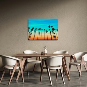 Tablou pe sticlă - California (70x50 cm)