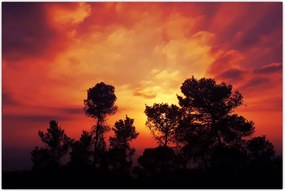 Tablou apus de soare (90x60 cm)