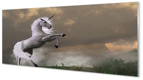 Tablouri pe sticlă top Unicorn