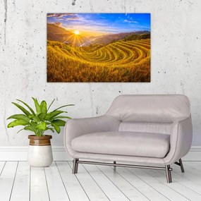 Tablou - Terasele de orez din Vietnam (90x60 cm)