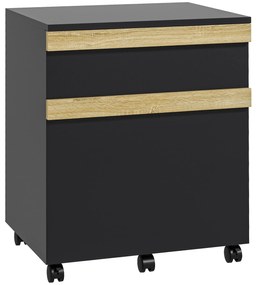 Vinsetto Caisson de birou cu roți și 2 sertare glisante trieur pentru dosare 48 x 40 x 59,5 cm negru | Aosom Romania