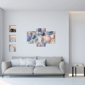 Tablou - Colecție de scoici (90x60 cm)