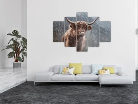 Tablou - Vaca Highlander (150x105 cm)