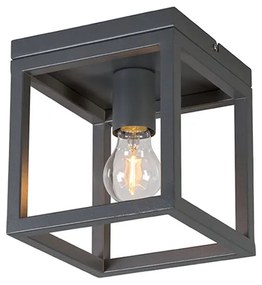 Plafoniera industriala gri inchis - Cage