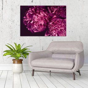 Tablou - Floarea bujorului (90x60 cm)