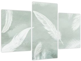 Tablou - Pene albe (90x60 cm)