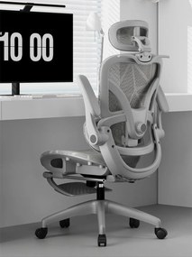 ErgoVision Pro – Scaun Ergonomic, Suport Lombar Reglabil, Umeras, Cotiere Rabatabile, Suport pentru Picioare, Mesh, Gri