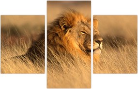 Tablou - Parcul Național Etosha (90x60 cm)