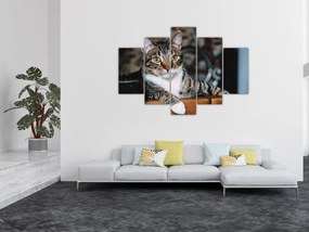 Tablou cu pisica (150x105 cm)