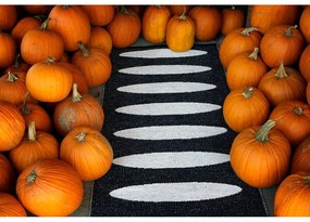 Covor tip traversă pentru interior și exterior negru 70x150 cm Ella Black – Pappelina