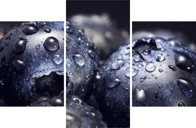 Tablou cu fructe cu picături de apă (90x60 cm)